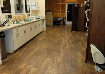 Experienced Cleaner